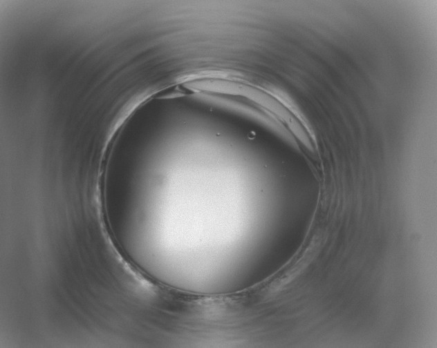 X0000054450906200508121907