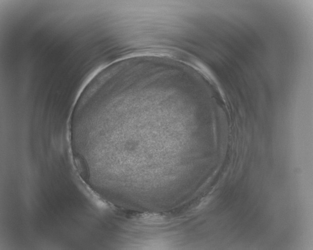 X0000054450907200508121907