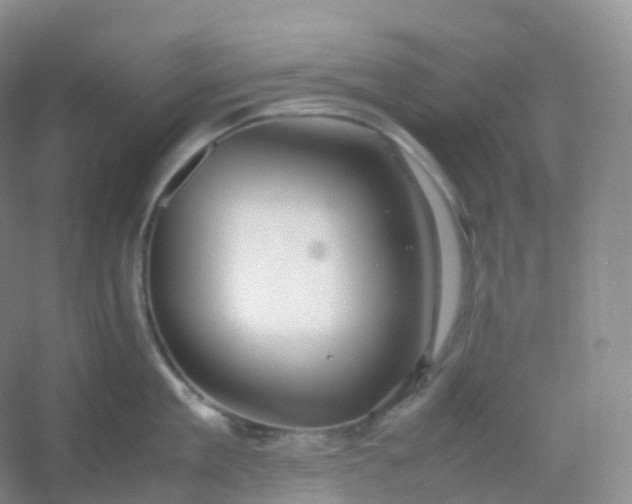 X0000054450909200508121907