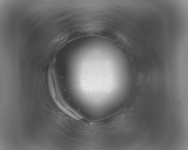 X0000054450917200508121907