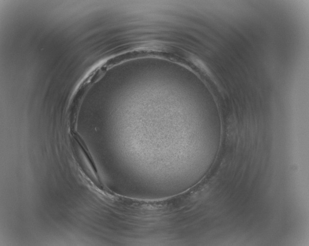 X0000054450923200508121907
