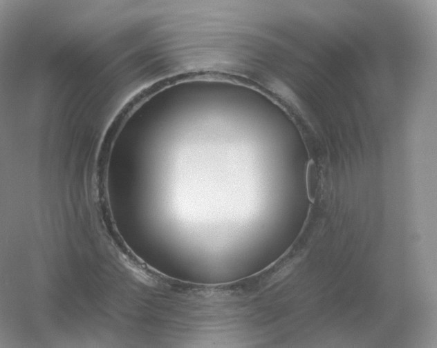 X0000054450924200508121907