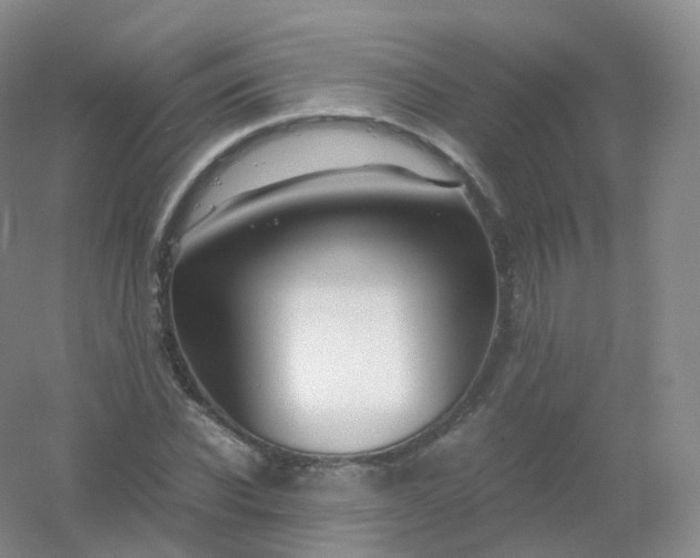 X0000054450926200508121907