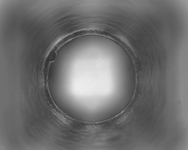 X0000054450927200508121907