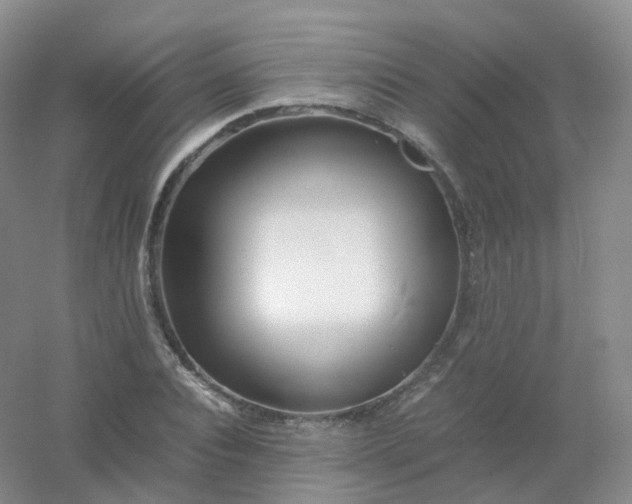 X0000054450928200508121907