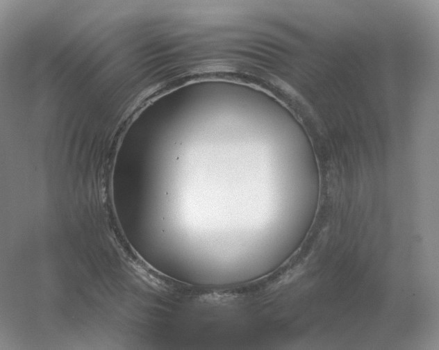 X0000054450929200508121907