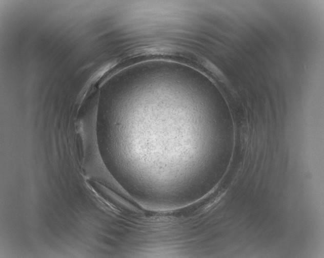 X0000054450930200508121907