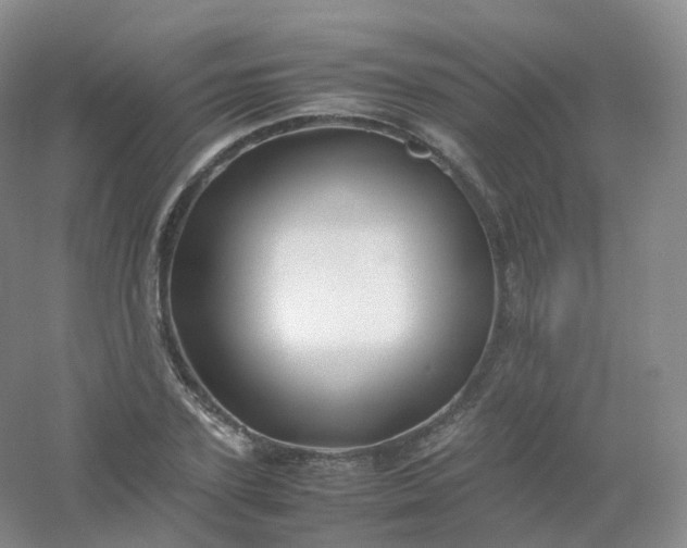 X0000054450931200508121907