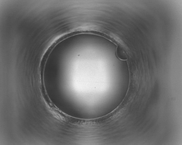 X0000054450934200508121907