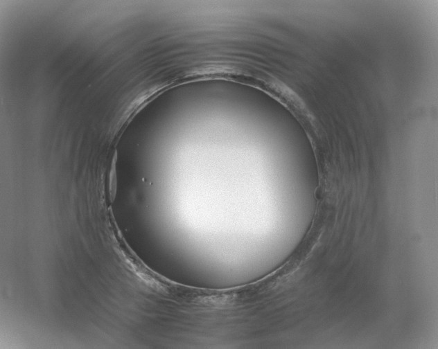 X0000054450937200508121907