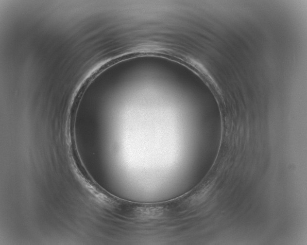 X0000054450939200508121907