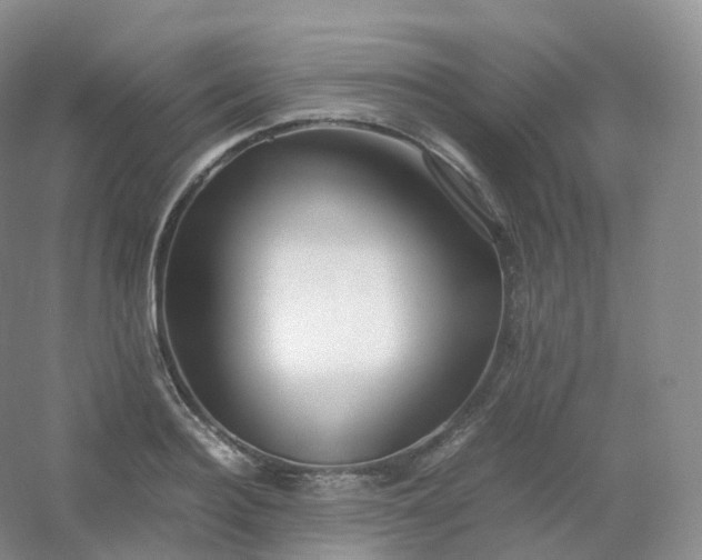 X0000054450940200508121907