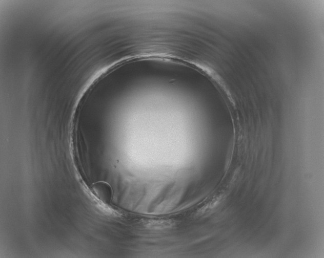 X0000054450941200508121907