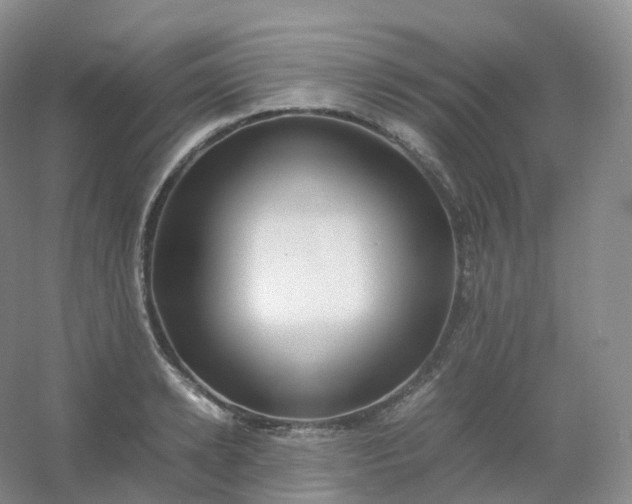 X0000054450942200508121907