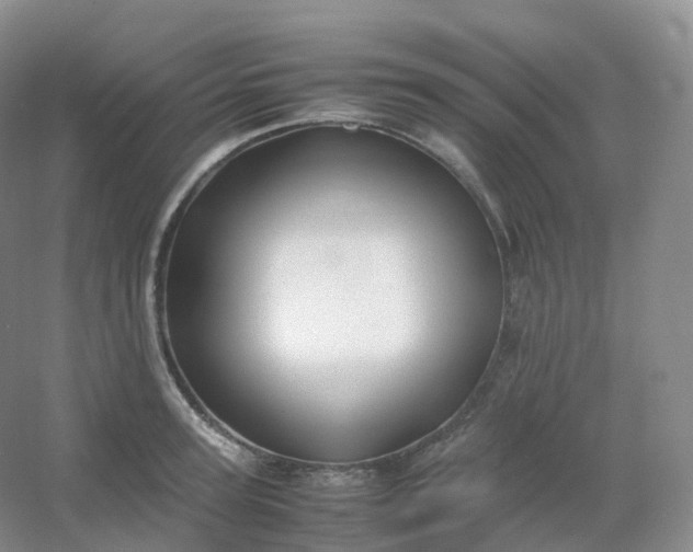 X0000054450947200508121907