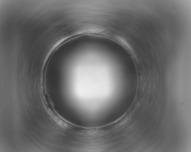 X0000054450948200508121907