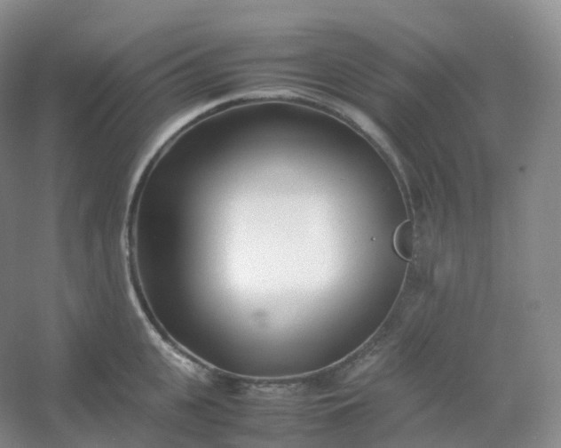 X0000054450951200508121907