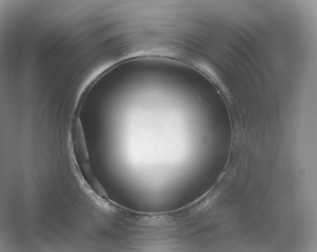 X0000054450952200508121907