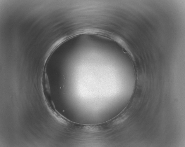 X0000054450954200508121907