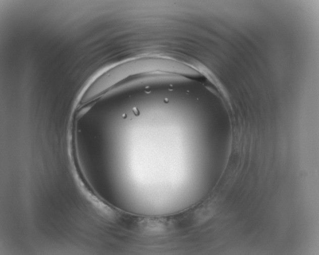 X0000054450955200508121907