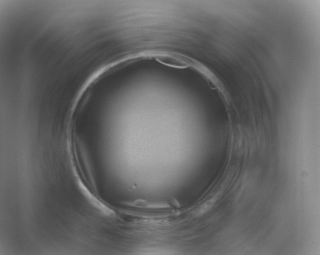 X0000054450958200508121907