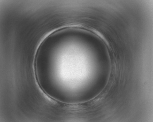 X0000054450959200508121907