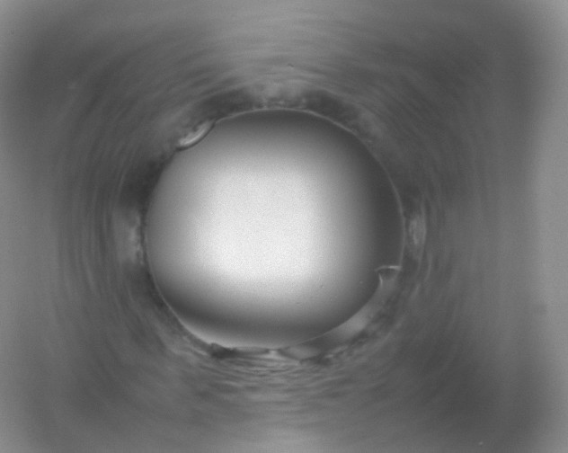 X0000054450963200508121906