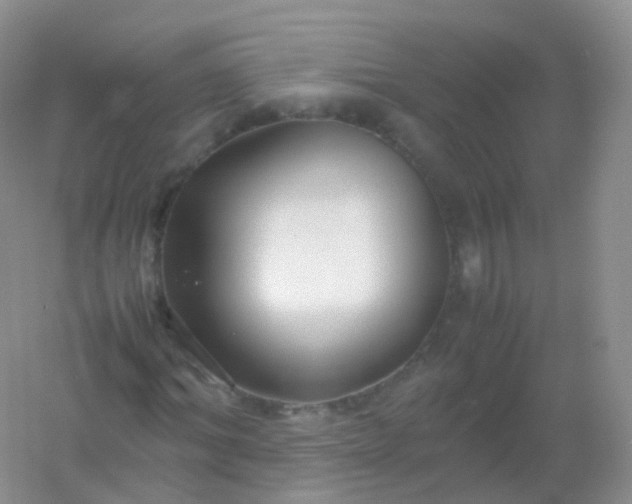 X0000054450964200508121906