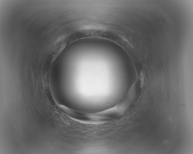 X0000054450965200508121906