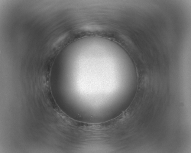 X0000054450966200508121906