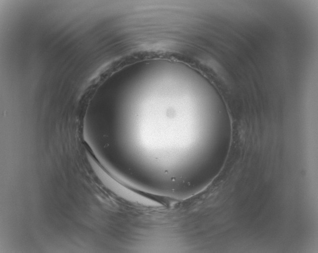 X0000054450968200508121906