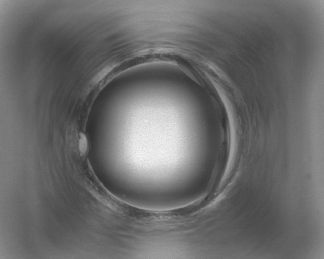 X0000054450969200508121906