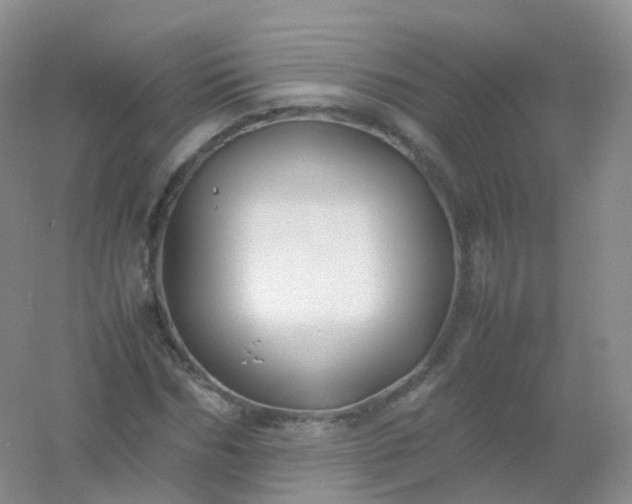 X0000054450970200508121906