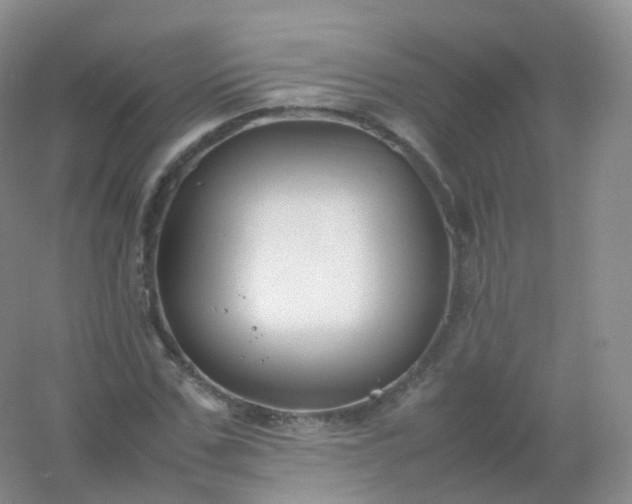 X0000054450971200508121906
