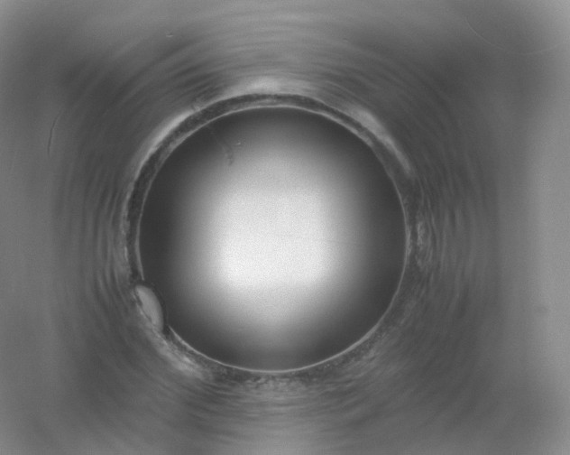 X0000054450972200508121906