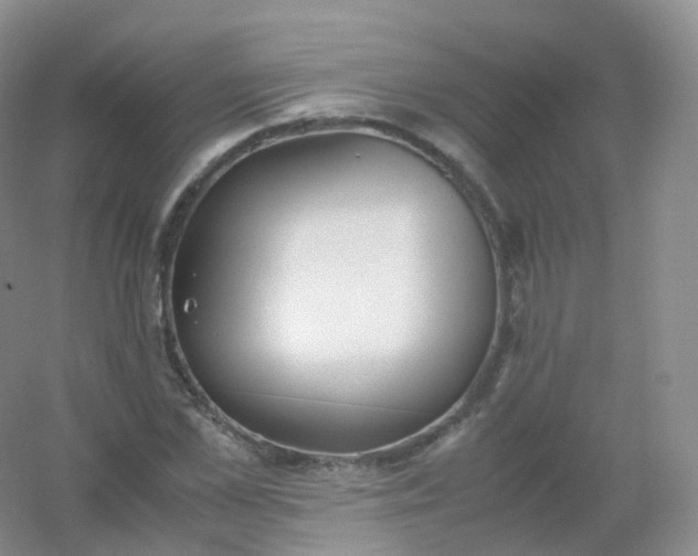 X0000054450973200508121906