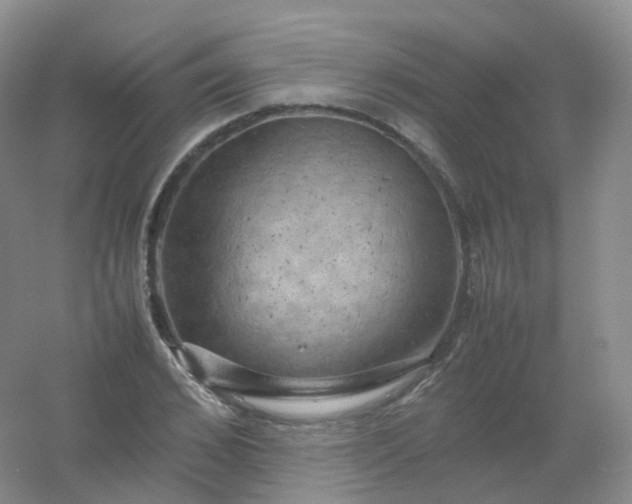X0000054450976200508121906