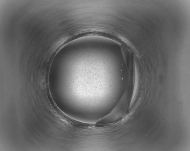 X0000054450977200508121906