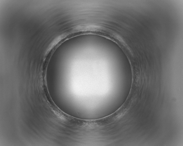 X0000054450978200508121906