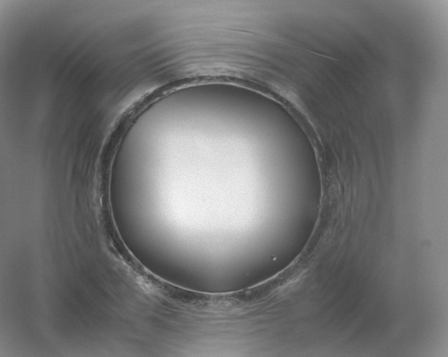 X0000054450979200508121906