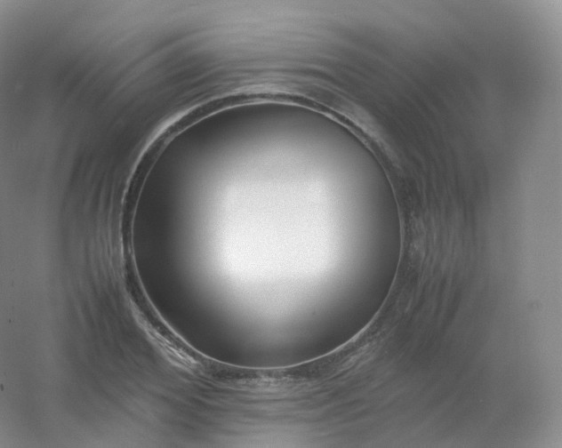 X0000054450980200508121906