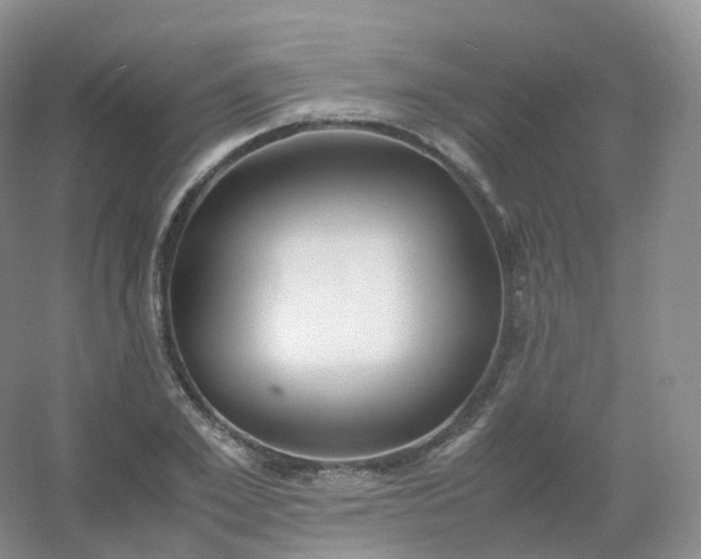 X0000054450981200508121906