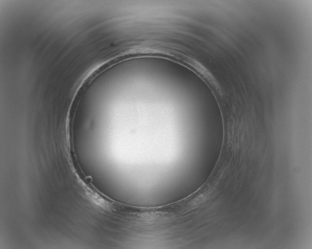 X0000054450988200508121906