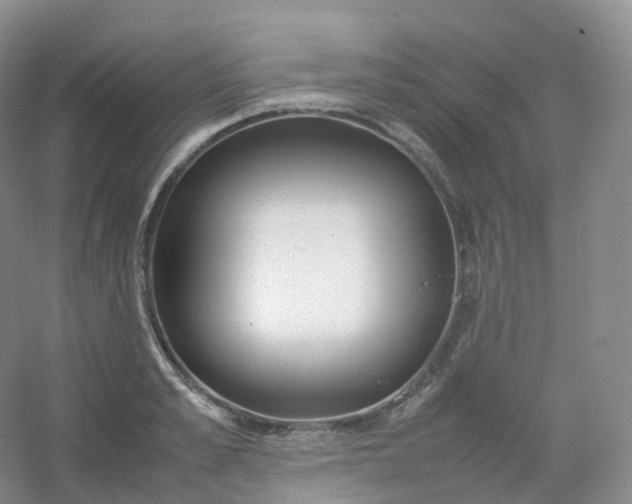 X0000054450989200508121906