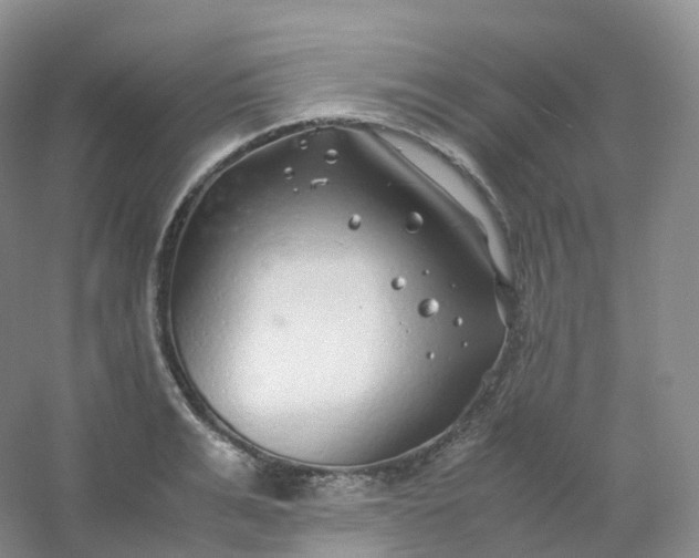 X0000054450991200508121906