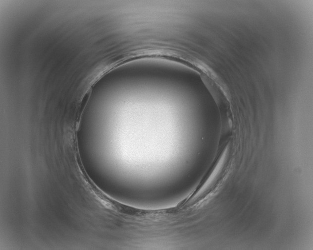 X0000054450993200508121906