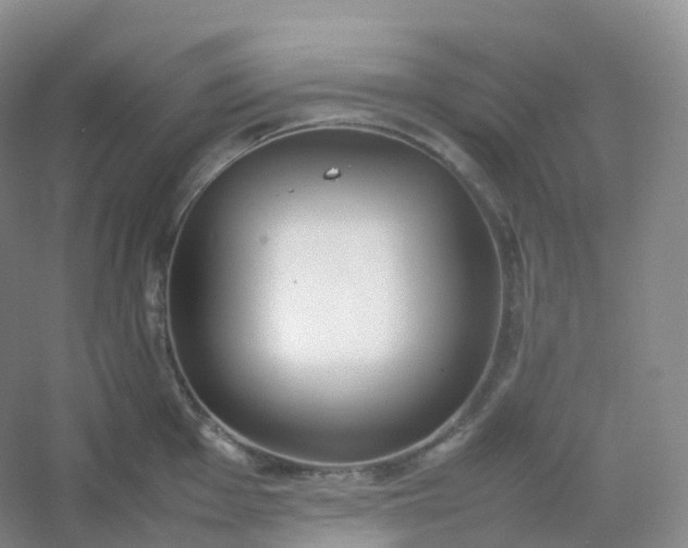X0000054451001200508121906