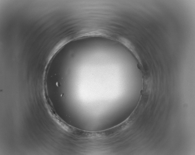 X0000054451002200508121906