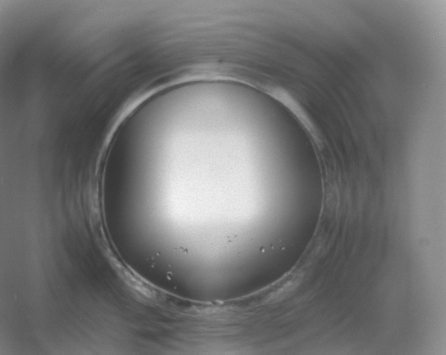X0000054451004200508121906