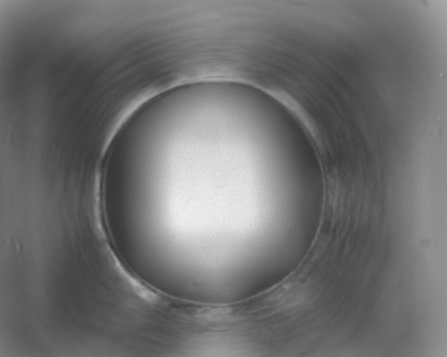 X0000054451006200508121906